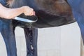 Woman Draining the Water From the Horse`s Mantle at the Riding S Royalty Free Stock Photo