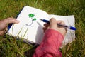 Woman drawing flowers