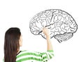 Woman drawing human brain diagram