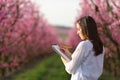 Woman drawing a pink field in a notebook Royalty Free Stock Photo