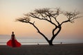 a woman dressed in gown, standing on a beach, near one tree and birds, sunset, beautiful landscape