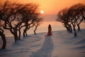 a woman dressed in gown, walking along trail in snow, between trees, beautiful nature at sunset, winter season, beautiful Royalty Free Stock Photo