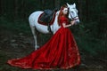 Woman dressed in medieval dress Royalty Free Stock Photo