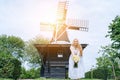 Woman dressed on traditional Dutch dress, wooden shoes yellow clogs klompen holding bouquet of Chamomile flowers with Royalty Free Stock Photo