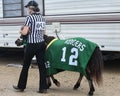 Referee Woman leading Aaron Rodgers Pony Royalty Free Stock Photo