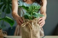 woman dressing a plant pot in a burlap gift sack Royalty Free Stock Photo