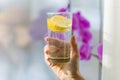 Woman drinking summer refreshing fruit flavored infused water with fresh organic lemon. Royalty Free Stock Photo