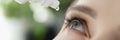 Woman drips eye drops into eye for allergies closeup Royalty Free Stock Photo