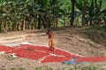 Woman drying chili peppers in Myanmar
