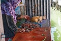 Woman drying fish in Koh Pan Yi