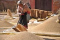 Woman drying rice