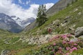 Woman on e mountain bike in the Valais alps near Zermatt, Switzerland Royalty Free Stock Photo