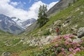 Woman on e mountain bike in the Valais alps near Zermatt, Switzerland Royalty Free Stock Photo