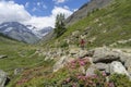 Woman on e mountain bike in the Valais alps near Zermatt, Switzerland Royalty Free Stock Photo