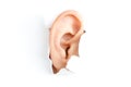 Woman ear Royalty Free Stock Photo