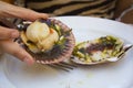 Woman eating fresh Variegated scallop