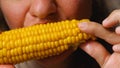 A woman eats boiled corn sprinkled with salt and rubbed with butter. Corn cob in hand. Close-up female teeth bite yellow Royalty Free Stock Photo