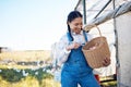 Woman with eggs in basket on farm chicken on grass, smile and sunshine in countryside field for sustainable business Royalty Free Stock Photo