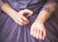 Woman in elegant purple dress applying perfume on her wrist closeup Royalty Free Stock Photo