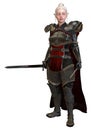 Woman elf warrior with swords isolated on white background 3D illustration Royalty Free Stock Photo