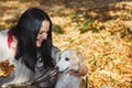 Woman embracing a dog in autumn forest Royalty Free Stock Photo