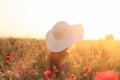 Woman enjoing sunset view on the meadow Royalty Free Stock Photo