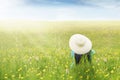 Woman enjoy springtime on meadow Royalty Free Stock Photo