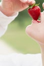 Woman enjoy strawberry close-up. Kisses and tastes strawberry. Seasonal berry Royalty Free Stock Photo