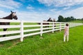 Woman enjoying countryside view with green pastures and horses.