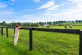 Woman enjoying countryside view.