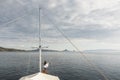 Woman enjoying cruise on luxury white yacht. Wealth and freedom travel concept Royalty Free Stock Photo