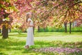 Woman enjoying her walk in park during cherry blossom season Royalty Free Stock Photo