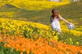 Woman enjoying spring among beautiful meadow full of bright yellow and orange wild flowers Royalty Free Stock Photo