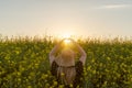 Woman enjoying spring making a heart with hands against sunset sun light in yellow flowers field.Spring love concept , copy space Royalty Free Stock Photo