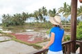 Woman enjoying view of rice fields Royalty Free Stock Photo