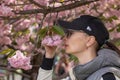 Woman enjoys beautiful branches blooming sakura flowers. Royalty Free Stock Photo