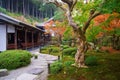 woman in Enkoji temple to enjoy Autumn garden Royalty Free Stock Photo