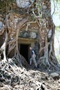 woman at an entrance to the destroyed covered with roots of trees temple Prasat Chrap in the Koh Ker temple complex, Siem Reap, C