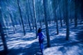 Woman escaping through the woods Royalty Free Stock Photo