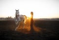 Woman in evening dress working with grey Arabian horse on a black burnt field backlit with setting sun Royalty Free Stock Photo