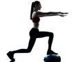 Woman exercising bosu balance ball trainer silhouette Royalty Free Stock Photo