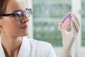 Woman experimenting with microbacteria Royalty Free Stock Photo