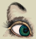 Woman eye Royalty Free Stock Photo