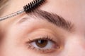 Woman eye with beautiful eyebrows. Perfect shaped brow, eyelashes with brow gel brush. Female model shaping brown Royalty Free Stock Photo