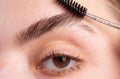 Woman eye with beautiful eyebrows. Perfect shaped brow, eyelashes with brow gel brush. Female model shaping brown Royalty Free Stock Photo