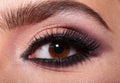 Woman eye with beautiful makeup. Beautiful female eye with extreme long eyelashes and smoky makeup. Perfect eyebrows and