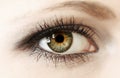 Woman eye closeup Royalty Free Stock Photo