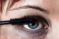 Woman eye with eyebrush.