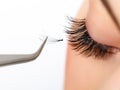 Woman eye with long eyelashes. Eyelash extension Royalty Free Stock Photo