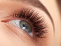 Woman eye with long eyelashes. Eyelash Extension Royalty Free Stock Photo